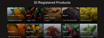 Herbs, Spices & Seasonings,forest products,silk Origin Northeast India, Kashmir Product Types Spices, Forest Products, Silk Materials, Handicrafts, Saffron, Wild Garlic, Honey -  NORTH EASTERN INDIAN MOUNTAIN HARVEST EXPORTER(NEIMHEX) - India