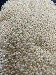 Sesame Seeds - JefeBox - Nigeria