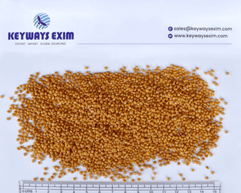 yellow millet Purity 99% Digestibility Excellent Moisture Content Below 12% Color Uniform Golden-yellow Grain Appearance Golden-yellow Grains - keyways exim - India