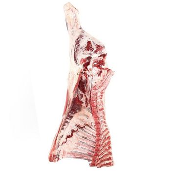 Frozen Meat / Beef Offals / Buffalo Meat, HALAL FROZEN BONELESS CARCASS BEEF SHEEP LAMB MUTTON MEAT FOR EXPORT - GOLD COMERCIO E SERVICOS EIRELI - Brazil