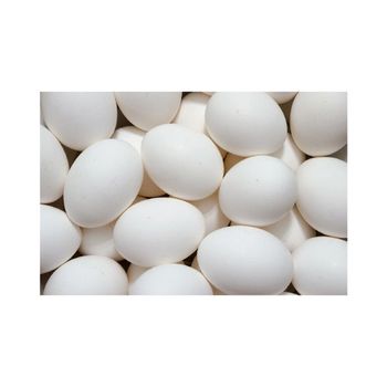 Chicken White Eggs - W&E HOLDING BV - Netherlands