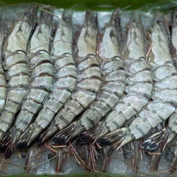 Frozen Fresh Shrimps Premium Seafood Choice Featuring Natural Moisture Balance And Hygienic Handling Standards - TOSOH INTERNATIONAL - South Africa