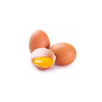 Bulk Egg Albumen Powder and Yolk Powder Manufacturer – Pure Spray Dried Egg White and Egg Yolk Powder for Bakery Bulk Egg Albumen Powder and Yolk Powder Manufacturer – Pure Spray Dried Egg White and Egg Yolk Powder for Bakery Bulk Egg Albumen Powder and Yolk Powder Manufacturer – Pure Spray Dried Egg White and Egg Yolk Powder for Bakery - GLOBOTO TRADE BRASIL LTDA - Brazil