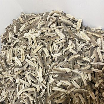 Dried Sea Cucumber Form Whole Organic Yes Origin National Delivery Form cartoon - Crabs Lanka Exports Pvt Ltd - Sri Lanka