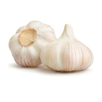 Wholesale Top Quality Fresh Peeled Garlic In Cheap Price - HIGHPROFILE AGRICULTURE SERVICES LIMITED - Tanzania