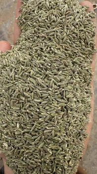 Cumin seed 99% European Quality Delivery Form Bag, Sacks Features Fair Trade, No Preservatives, Organic, Without Colourants, Without Flavor Enhancers - Uzair and Company - Pakistan