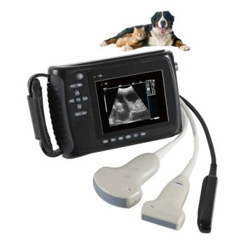 Vet Goat Great Farm Pig Ultrasound Scanner Veterinary Sheep Portable Hand Held Ultrasound Machine for Veterinary Bovine Equine - Guangzhou MeCan Medical Limited - China