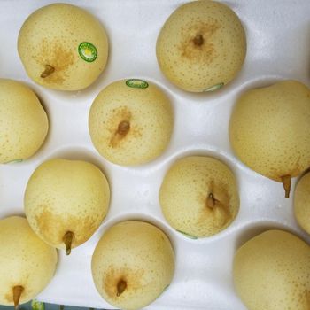 Fresh Asian Pear Hot Selling Good Quality Chinese Pear Grade A Type Pear Style Fresh Color Yellow Content Pear Variety Ya - Jining Rich Farmer International Trade Co., Ltd. - China