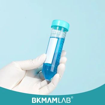 Disposable Sterile Conical Centrifuge Tubes with Screw Caps - Hunan BKMAM International Trade Co., Ltd. - China