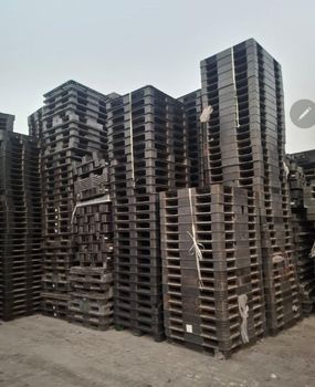 plastic pallets Dubai - Najm al Sharaq carpentery - United Arab Emirates