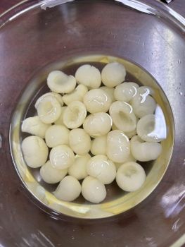 Canned toddy palm/Canned longan - FOOD LEADER CO.,LTD, FROM THAILAND - Thailand