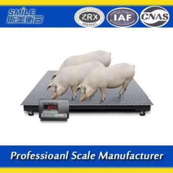 1500kgs 1X1.5m Veterinary Scales Animal Weighing Scales Animal Scale From Factory - Qingdao SIMEI Weighing Apparatus Co., Ltd. - China