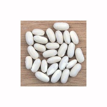 White kidney beans in stock for sale ideal for health food and grocery chains - Starmark Company Limited - Tanzania