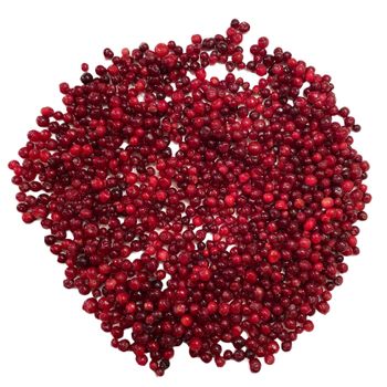 100% Natural Products Food Grade Frozen Berries Organic IQF Box Bag Packaging Frozen Fruit Lingonberry - RUSBERRY TRADE LLC - Russian Federation