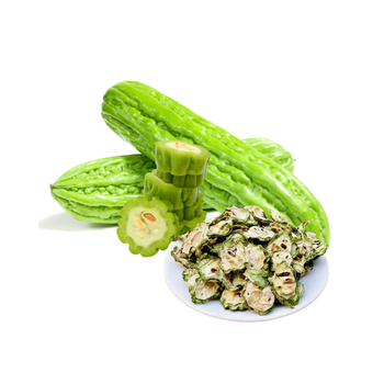 Wholesale high quality Vietnamese bitter melon - VINAGREEN TRADING AND IMPORT EXPORT COMPANY LIMITED - Vietnam