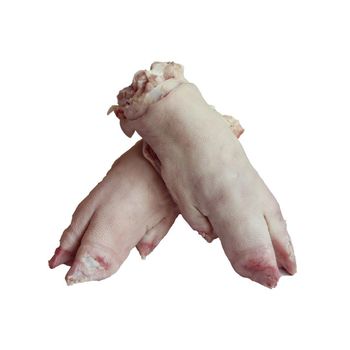 Nutritious 24 Months Top Roast Poultry Products Sale Frozen Meat Pork Feet Supplier Brazil Origin Frozen Processing Fresh Pork Feet Meat Cheap frozen meat halal pork meat Buy Frozen Pork Feet directly For Sale HIGH QUALITY FROZEN Pork Feet READY FOR SHIPMENT BRAZIL ORIGIN from GLOBOTO TRADE BRASIL LTDA Nutritious 24 Months Top Roast Poultry Products Sale Frozen Meat Pork Feet Supplier Brazil Origin Frozen Processing Fresh Pork Feet Meat Cheap frozen meat halal pork meat Buy Frozen Pork Feet directly For Sale HIGH QUALITY FROZEN Pork Feet READY FOR SHIPMENT BRAZIL ORIGIN – product photo, Animal Origin Products products found from trusted suppliers, wholesalers, manufacturers & exporters Listing