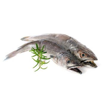 Fresh Hake Seafood Selection Offering 98% Natural Quality With Firm Flesh Bright Color And Export Ready Packing - TOSOH INTERNATIONAL - South Africa