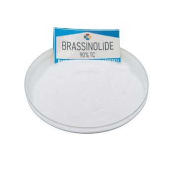 Green and Environmentally Friendly Plant Growth Regulator 24epibrassinolide 90%TC - Panpan Industry Co., Limited - China