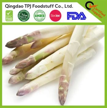 Wholesale IQF Frozen White Asparagus New Crop Seasonal Vegetables - Qingdao TPJ Foodstuff Co., Ltd. - China