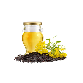 Pure canola oil offered for sale in bulk with rich flavor and light color - MT Trading GmbH - Germany