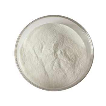 N methyl alanine Delivery Form Drums - SHREE SAI BIOTECH - India