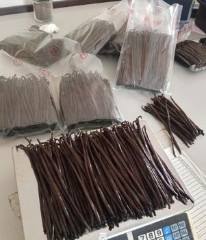 Vanilla Beans from PT.Nusantara Good Farmers Vanilla Beans – product photo, Dried Vanilla Beans products found from trusted suppliers, wholesalers, manufacturers & exporters Listing