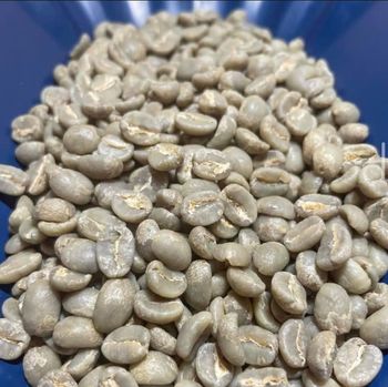 Premium ARABICA GREEN COFFEE Product - Supplier of Coffee Beans to Many Countries - THE GREEN INTERNATIONAL LIMITED - Tanzania