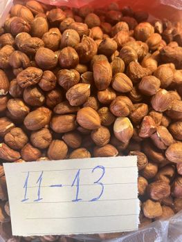 Hazel Nut - GLOBAL SMART LLC - Georgia