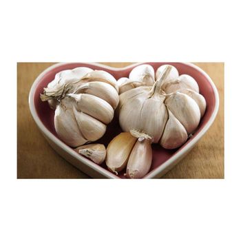 Low price Fresh Garlic available in various grades for different markets - CHHC AGR0-CHEMICAL PRODUCTS WHOLESALING - Philippines