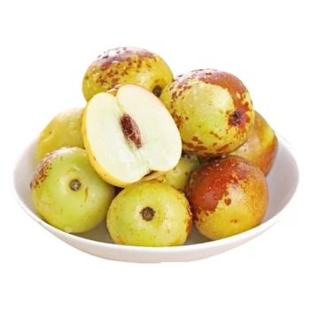 Premium Crispy Sweet Frozen Winter Jujube - Shanxi Fret International Trade Co., Ltd - China