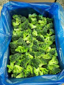 Organic Frozen Broccoli IQF Fresh Frozen Vegetables Grade A Packaging Bulk Form Frozen, Iqf Weight (kg) 10kgs Type Frozen Broccoli - Shandong Guohai Imports and exports Co., ltd - China