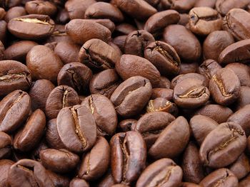 Green Coffee Beans - Bgr Lango - Indonesia