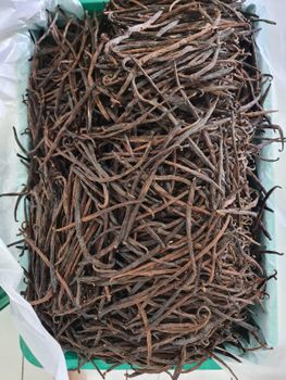 Vanilla beans extract grade - PT. Permata Jaya Lestari - Indonesia