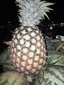 Pineapple from Dawood Trading Company Pineapple - Dawood Trading Company - Pakistan