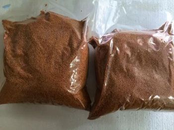 Food Grade Bulk 25Kgs Camellia Tea Pollen Delivery Time 10 Model Number 2001 Supply Ability 1500tons Place Of Origin - Henan Super-sweet Biotechnology Co., Ltd - China