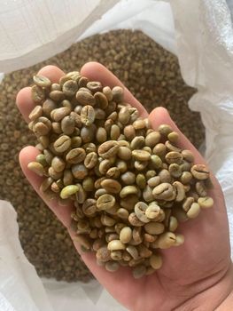 coffe beans - PT AUBE SCOFFE JAVARA - Indonesia