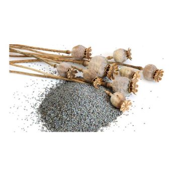 High grade poppy seeds prepared for wholesale buyers seeking large volume supply - Medcompex Gmbh - United Kingdom