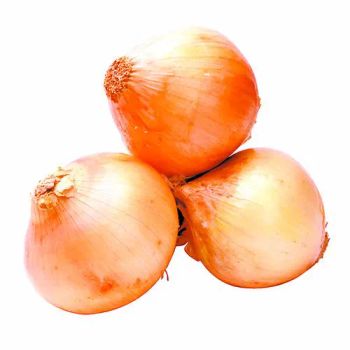 Fresh Yellow Onion, High Quality, Wholesale Bulk Supply, Affordable Cheap Prices from A.C.P. AGRICULTURE COMPANY LIMITED Fresh Yellow Onion, High Quality, Wholesale Bulk Supply, Affordable Cheap Prices - A.C.P. AGRICULTURE COMPANY LIMITED - Thailand