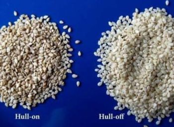 Best Quality 100% Organic White Sesame Seed For more details, whatsap +255787979235 – product photo, Top Quality Products