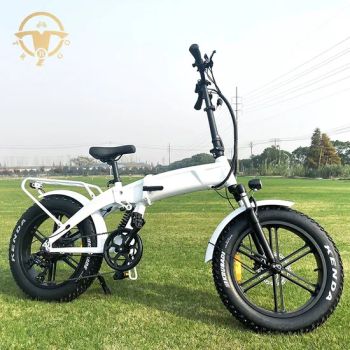 20 Inch 36V 350W Wholesale Foldable Fat Electric Folding Bike - Jiangsu Triuni Import & Export Co., Ltd. - China