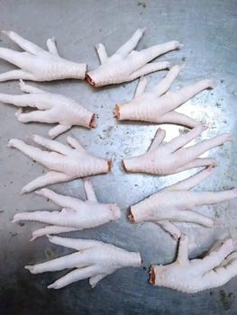 FROZEN CHICKEN FEET - jmb management - Germany