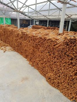 Stick Cassia (Peeled) Origin Vietnam Max. Moisture (%) 13.5 Packaging 10kg/carton, 25kg/PP bag - NGUYEN PHAT GLOBAL TRADING COMPANY LIMITED - Vietnam