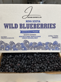 IQF Wild Blueberry - JOCHEE EXPORTS LTD - United Arab Emirates