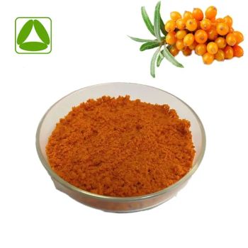Natural Sea Buckthorn Juice Powder Sea Buckthorn Powder Factory Supply - Xi'an Quanao Biotech Co., Ltd. - China