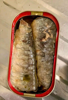 TOP Rated Seafood Titus Sardines 125g x 50 in Vegetable Oil Trusted Premium Canned Seafood Buy - Sosa Merchant Solutions - Austria