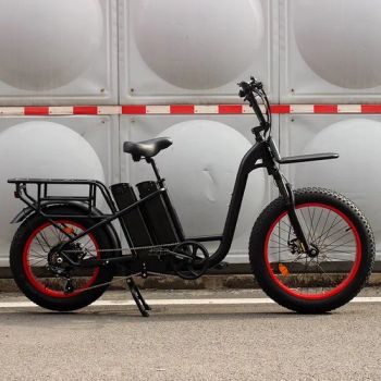 125km Long Range Delivery Dual Battery Electric Cargo Bike Bicycle 48V 500W 750W Fatbike - Changzhou Avelo Electric Technology Co., Ltd. - China
