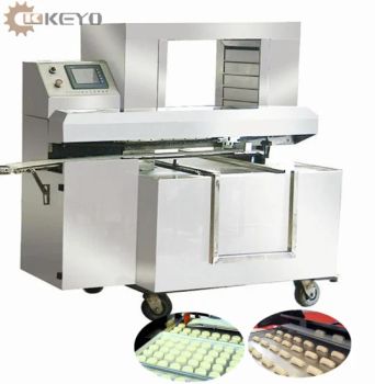 Steamed Stuffed Bun Bread Cookie Flaky Pastry Pan Dropping Arranging Conveyor - Hefei Chunhui Machinery Manufacturing Co., Ltd. - China