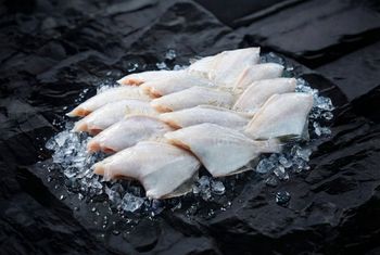 Processed Leatherjacket Fish / Filefish - Hup Sun Marine Products - Malaysia