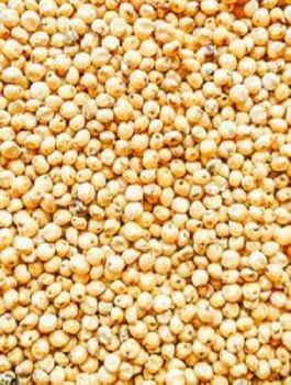 Grains Wheat Corn Oilseeds Barley Sorghum - ROM BAU GMBH - Germany