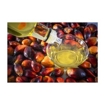 Premium edible palm oil manufacturer providing refined palm cooking oil for restaurants fast food chains catering services and food production industries with large quantity supply and global export shipping. - SATTER FOOD AND BEVERAGE - Netherlands
